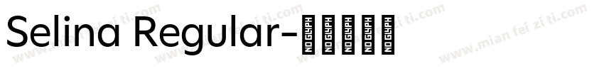 Selina Regular字体转换
